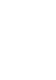 Vass Laser logo
